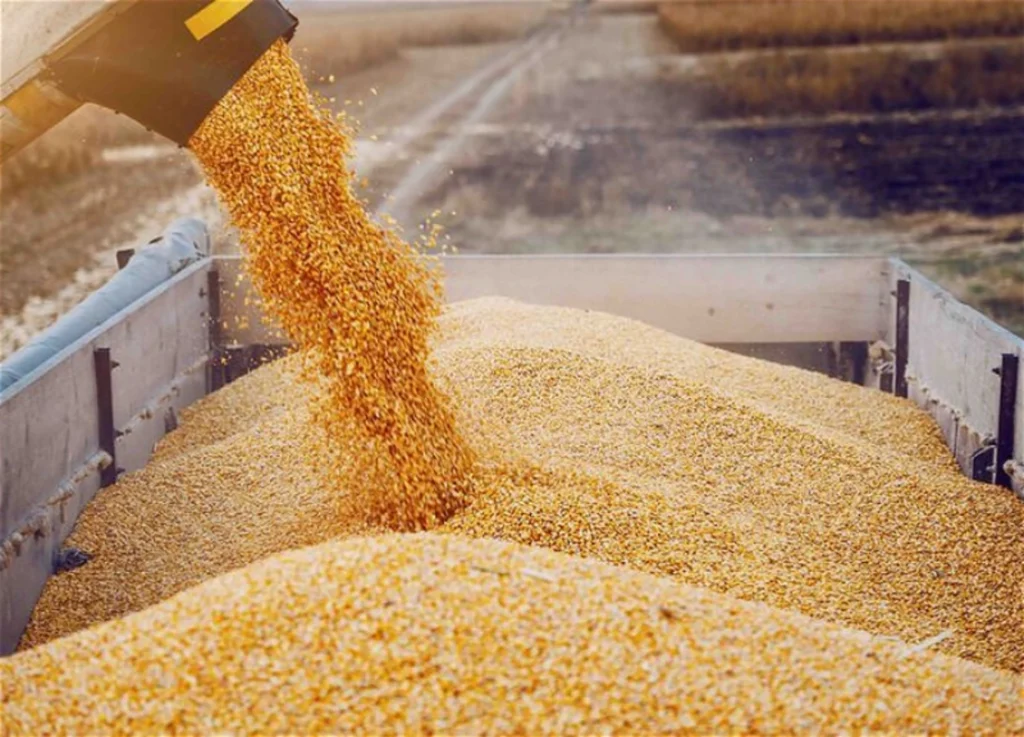 EazXDcGdGRcnaTvKT6z3ntQkszuEei9JSE4yzdGB_1200