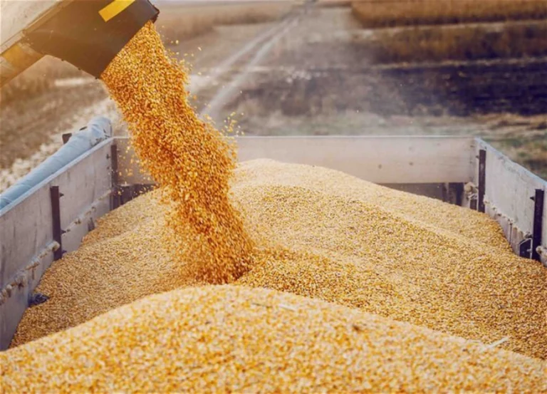 EazXDcGdGRcnaTvKT6z3ntQkszuEei9JSE4yzdGB_1200