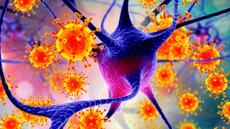 Nipah_Virusu_Nedir_-_Buyuk_Anadolu_Hastanesi