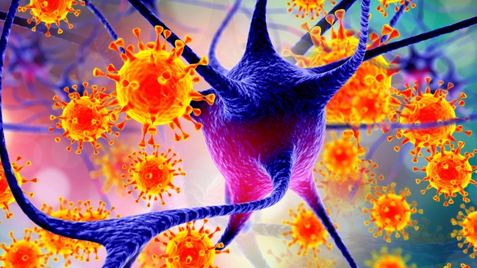 Nipah_Virusu_Nedir_-_Buyuk_Anadolu_Hastanesi