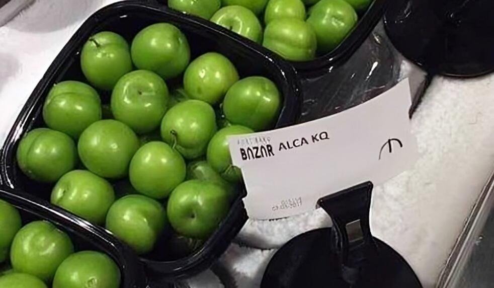 alca