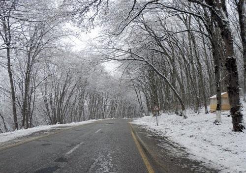 qarli-yol1 (1)